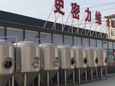 马尾精酿啤酒设备厂—市场规模与跨界新需求